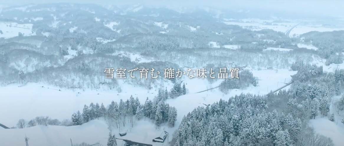 雪室とは